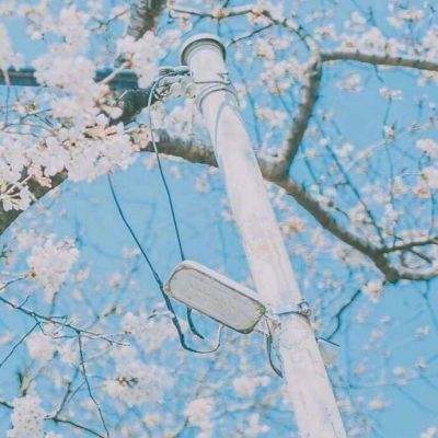 色孔游戏下载